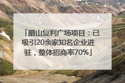 腊山复利广场项目：已吸引20余家知名企业进驻，整体招商率70%